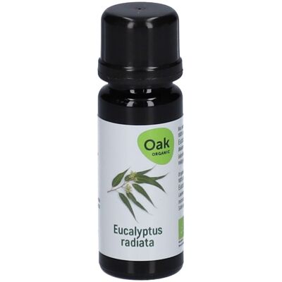 Oak Eucalyptus Radiata Huile Essentielle Bio 10 ml - Publicité Oak Eucalyptus Radiata Huile Essentielle Bio 10 ml - Publicité