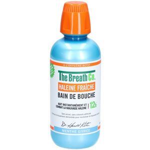 The BreathCo Bain De Bouche Menthe Givrée 500 ml - Publicité The BreathCo Bain De Bouche Menthe Givrée 500 ml - Publicité