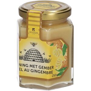 REVOGAN Miel au gingembre Crème 250 g - Publicité REVOGAN Miel au gingembre Crème 250 g - Publicité