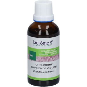 Ladrome Ladrôme Extrait De Plante Chelidonium Majus Bio Teinture(S) 50 ml - Publicité Ladrome Ladrôme Extrait De Plante Chelidonium Majus Bio Teinture(S) 50 ml - Publicité