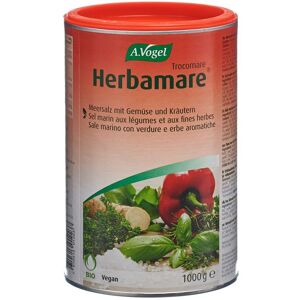 A.Vogel Sel marin aux légumes et fines herbes bio Sel(S) 1000 g - Publicité A.Vogel Sel marin aux légumes et fines herbes bio Sel(S) 1000 g - Publicité