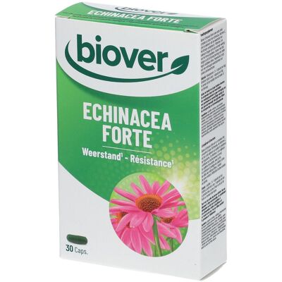 Biover Echinacea Forte - Renforce le Système Immunitaire - Publicité Biover Echinacea Forte - Renforce le Système Immunitaire - Publicité