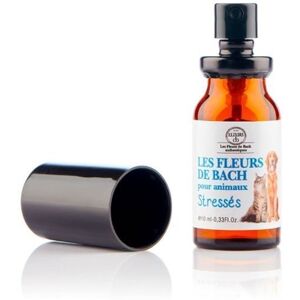 Elixirs & Co Fleurs de Bach pour Animaux Stressés - Spray Calmante - Publicité Elixirs & Co Fleurs de Bach pour Animaux Stressés - Spray Calmante - Publicité
