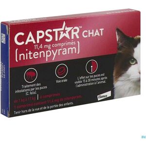 Elanco Capstar Chat Comprimé(S) 6 pc(s) - Publicité Elanco Capstar Chat Comprimé(S) 6 pc(s) - Publicité