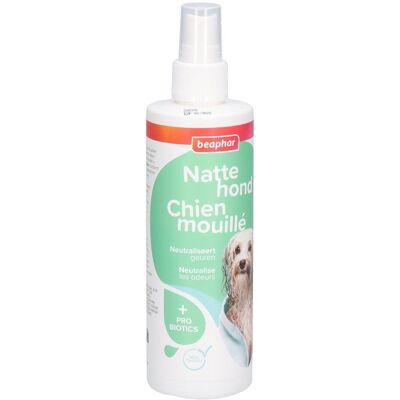 PDM to be maintained Beaphar® Chien Mouillé Spray 250 ml - Publicité PDM to be maintained Beaphar® Chien Mouillé Spray 250 ml - Publicité