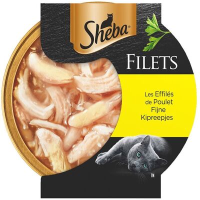 Sheba Filets – Effilés de poulet pour Chat Adulte Aliment 16x60 g - Publicité Sheba Filets – Effilés de poulet pour Chat Adulte Aliment 16x60 g - Publicité