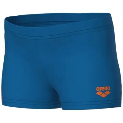 Short de bain bébé garçon Arena Logo Bleu 2/3 ans - Publicité Short de bain bébé garçon Arena Logo Bleu 2/3 ans - Publicité
