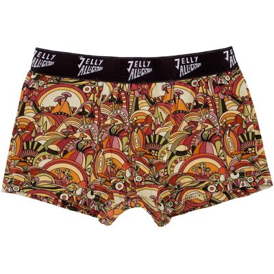 Boxer enfant Raspberry Republic Marron 52/55 - Publicité Boxer enfant Raspberry Republic Marron 52/55 - Publicité