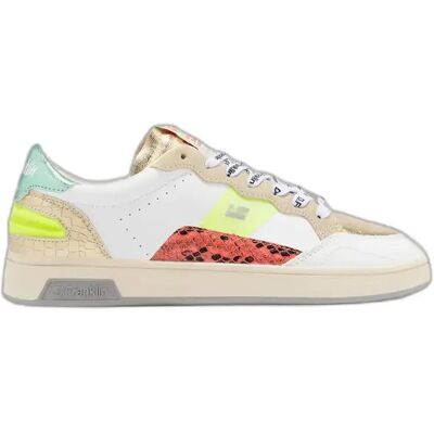 Baskets D.Franklin Match Skate Multicolore 38 - Publicité Baskets D.Franklin Match Skate Multicolore 38 - Publicité