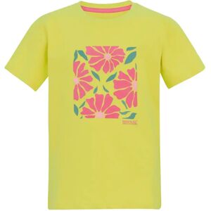 T-shirt en coton enfant Regatta Bosley Jaune 7/8 ans - Publicité T-shirt en coton enfant Regatta Bosley Jaune 7/8 ans - Publicité