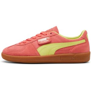 Baskets Puma Palermo Rose 36 - Publicité Baskets Puma Palermo Rose 36 - Publicité
