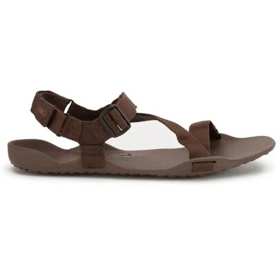Sandales Xero Shoes Z-Trek Marron 45 - Publicité Sandales Xero Shoes Z-Trek Marron 45 - Publicité