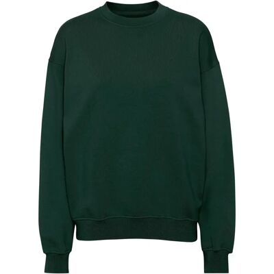 Sweatshirt col rond Colorful Standard Organic oversized hunter green Vert XL - Publicité Sweatshirt col rond Colorful Standard Organic oversized hunter green Vert XL - Publicité