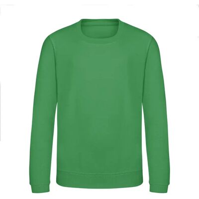 Sweatshirt enfant Just Hoods Awdis Vert 9/11 ans - Publicité Sweatshirt enfant Just Hoods Awdis Vert 9/11 ans - Publicité