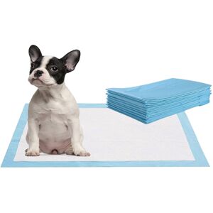 CostwayAlaise pour Chiens Choits, Alèse pour Chien Jetable Tapis Éducateur Jetables Absorbant Tapis de Propreté 300PCs 60x43CM - Publicité CostwayAlaise pour Chiens Choits, Alèse pour Chien Jetable Tapis Éducateur Jetables Absorbant Tapis de Propreté 300PCs 60x43CM - Publicité