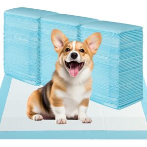 CostwayTapis d'Apprentissage pour Chiens et Chiots 65 x 64 CM (300 Unités) Tapis pour Animaux de Compagnie à 6 Couches à l'Épreuve des Fuites Bleu - Publicité CostwayTapis d'Apprentissage pour Chiens et Chiots 65 x 64 CM (300 Unités) Tapis pour Animaux de Compagnie à 6 Couches à l'Épreuve des Fuites Bleu - Publicité