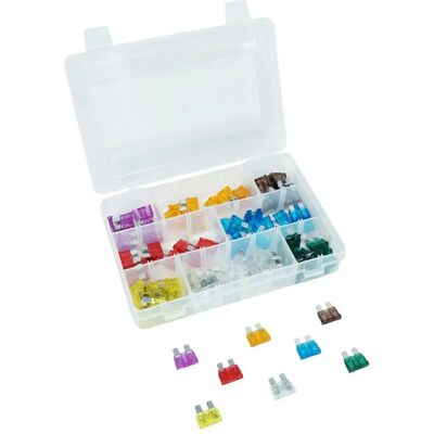 Lot de 100 fusibles plat enfichable standard P2R 3 - 30A Multicolore TU Unisex - Publicité Lot de 100 fusibles plat enfichable standard P2R 3 - 30A Multicolore TU Unisex - Publicité