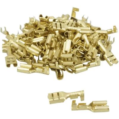 Lot de 100 cosses pour câble électrique laiton non isolée plâte femelle P2R Doré TU Unisex - Publicité Lot de 100 cosses pour câble électrique laiton non isolée plâte femelle P2R Doré TU Unisex - Publicité