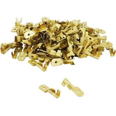 Lot de 100 cosses pour câble électrique laiton non isolée plâte mâle P2R 6.3 Doré TU Unisex - Publicité Lot de 100 cosses pour câble électrique laiton non isolée plâte mâle P2R 6.3 Doré TU Unisex - Publicité