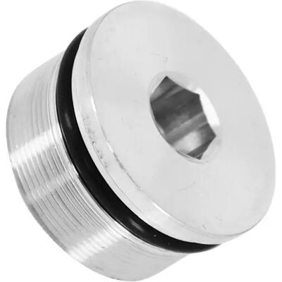 Boîte de 50 bouchons de tube de fourche P2R Rieju 50 MRT Argenté TU Unisex - Publicité Boîte de 50 bouchons de tube de fourche P2R Rieju 50 MRT Argenté TU Unisex - Publicité