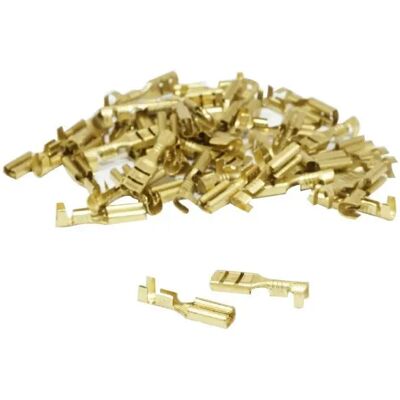 Sachet de 50 cosses electrique laiton non isolee plate femelle P2R Rs 7785 Doré 2,8x1 mm Unisex - Publicité Sachet de 50 cosses electrique laiton non isolee plate femelle P2R Rs 7785 Doré 2,8x1 mm Unisex - Publicité