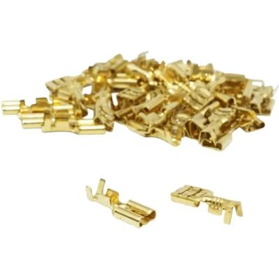 Lot de 50 cosses pour câble électrique laiton non isolee plate femelle P2R RS 7603 Doré TU Unisex - Publicité Lot de 50 cosses pour câble électrique laiton non isolee plate femelle P2R RS 7603 Doré TU Unisex - Publicité