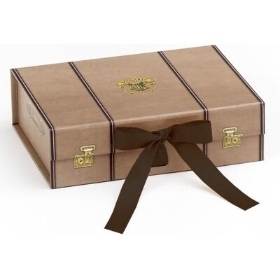 Boîte Cadeau Valise Harry Potter Petite - Coffret Cadeau - Publicité Boîte Cadeau Valise Harry Potter Petite - Coffret Cadeau - Publicité