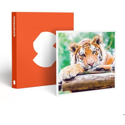Coffret Cadeau SMARTBOX - Journée au Parc Zoologique dAmnéville pour 2 adultes - Journée au Parc Zoologique dAmnéville pour 2 - Publicité Coffret Cadeau SMARTBOX - Journée au Parc Zoologique dAmnéville pour 2 adultes - Journée au Parc Zoologique dAmnéville pour 2 - Publicité