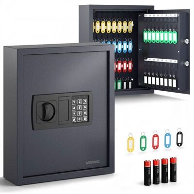 Acropaq Armoire à clés Murale pour 48 clés- Boite à Clés avec Serrure électronique numérique- 48 pendentifs Inclus- Noir Noir - Publicité Acropaq Armoire à clés Murale pour 48 clés- Boite à Clés avec Serrure électronique numérique- 48 pendentifs Inclus- Noir Noir - Publicité