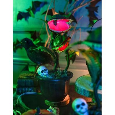 Automate Halloween - PTIT CLOWN - Animée - Sonore - Lumineux Vert - Publicité Automate Halloween - PTIT CLOWN - Animée - Sonore - Lumineux Vert - Publicité