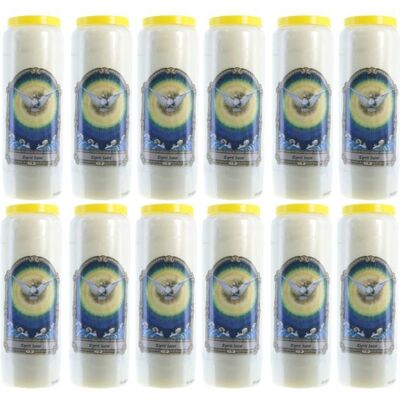 PALAIS DU ROSAIRE Lot de 12 Bougies neuvaine Esprit Saint - Publicité PALAIS DU ROSAIRE Lot de 12 Bougies neuvaine Esprit Saint - Publicité