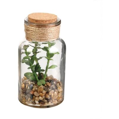 CMP Pot Plante Artificielle en Verre - Dimensions : 12 x 6 cm (Modèle: PLANTE_POT1) - Publicité CMP Pot Plante Artificielle en Verre - Dimensions : 12 x 6 cm (Modèle: PLANTE_POT1) - Publicité