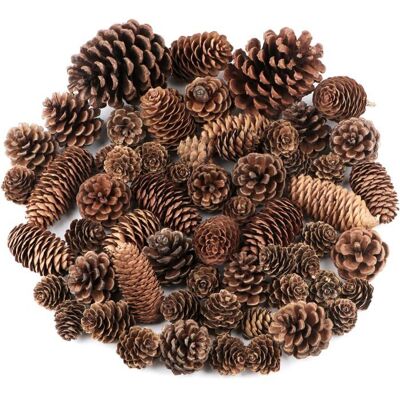 SANS MARQUE Lot de 60 pommes de pin Emballage en vrac naturel grandes moyennes et mini Décorations rustiques en forme de pommes de pin - Publicité SANS MARQUE Lot de 60 pommes de pin Emballage en vrac naturel grandes moyennes et mini Décorations rustiques en forme de pommes de pin - Publicité