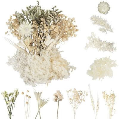 DLZAOAO Fleurs Sechees Naturelles Fleur Séchée pour Bougies Fleurs Sechees Fleurs Séchées Vrac Fleur Sechees Decoration pour Bricolage Résin Blanc - Publicité DLZAOAO Fleurs Sechees Naturelles Fleur Séchée pour Bougies Fleurs Sechees Fleurs Séchées Vrac Fleur Sechees Decoration pour Bricolage Résin Blanc - Publicité