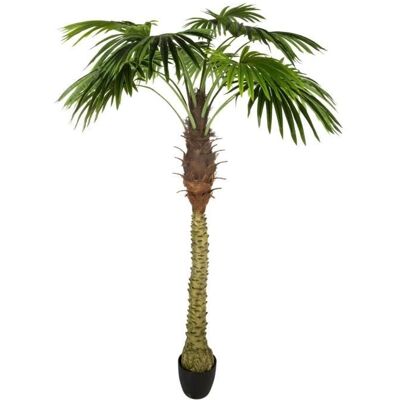 PEGANE Lot de 2 palmiers artificiels coloris Vert - H180 cm Vert - Publicité PEGANE Lot de 2 palmiers artificiels coloris Vert - H180 cm Vert - Publicité