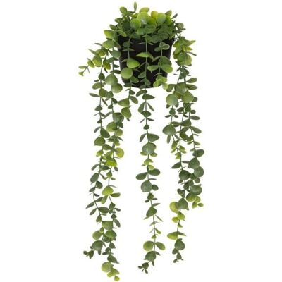 Eucalyptus artificiel en pot Merly vert H51cm - Atmosphera createur dinterieur - Vert foncé Vert - Publicité Eucalyptus artificiel en pot Merly vert H51cm - Atmosphera createur dinterieur - Vert foncé Vert - Publicité