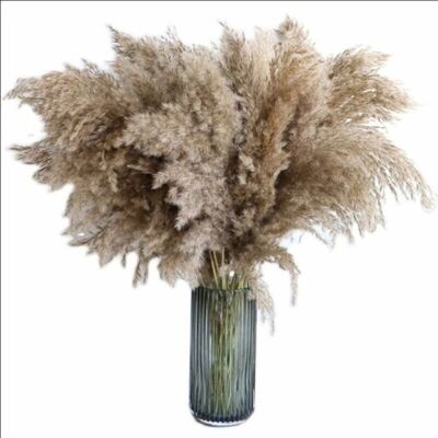 JORMFTTE Bouquet Pampas Reed Naturel Marron 60cm fleurs séchées déco bohème maison/salon/mariage . Marron - Publicité JORMFTTE Bouquet Pampas Reed Naturel Marron 60cm fleurs séchées déco bohème maison/salon/mariage . Marron - Publicité