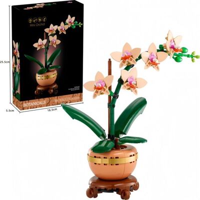 SANS MARQUE Mini orchidée Botanicals - Ensemble de fleurs artificielles pour adultes - Plante dintérieur avec pot style terre cuite - Publicité SANS MARQUE Mini orchidée Botanicals - Ensemble de fleurs artificielles pour adultes - Plante dintérieur avec pot style terre cuite - Publicité