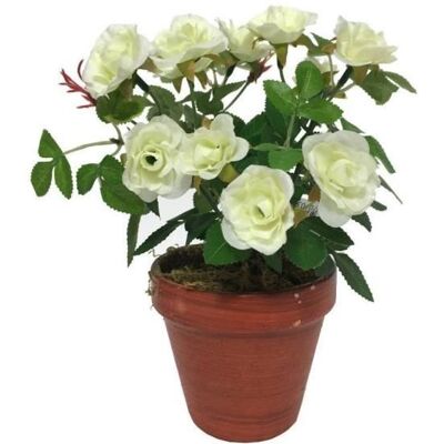 Plante artificielle - CHEMIN DE CAMPAGNE - Rosier blanc - 9 x 10 cm - Coton - Décoratif intérieur Blanc - Publicité Plante artificielle - CHEMIN DE CAMPAGNE - Rosier blanc - 9 x 10 cm - Coton - Décoratif intérieur Blanc - Publicité