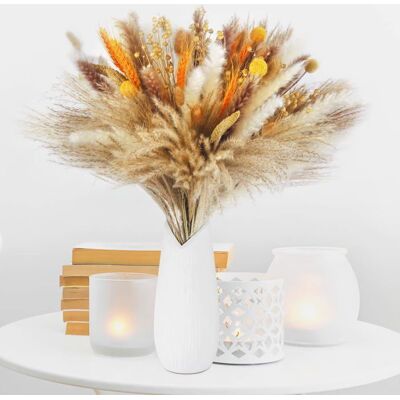 Décoration de Pampa séchée 100 pièces de fleurs séchées naturelles 40-44 cm bouquets de fleurs séchées naturelles - Publicité Décoration de Pampa séchée 100 pièces de fleurs séchées naturelles 40-44 cm bouquets de fleurs séchées naturelles - Publicité