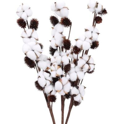 Bouquet de Fleurs Séchées - YNKKVRE - Coton Naturel - 3 pièces - 725 cm - Non Toxiques Marron - Publicité Bouquet de Fleurs Séchées - YNKKVRE - Coton Naturel - 3 pièces - 725 cm - Non Toxiques Marron - Publicité