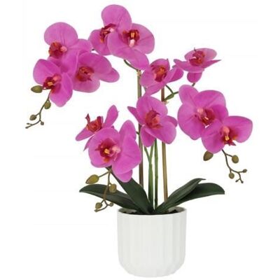 Orchidée artificielle - LIGNE DECO - Fuchsia - 50 cm - Plastique - Décor intérieur Rose - Publicité Orchidée artificielle - LIGNE DECO - Fuchsia - 50 cm - Plastique - Décor intérieur Rose - Publicité