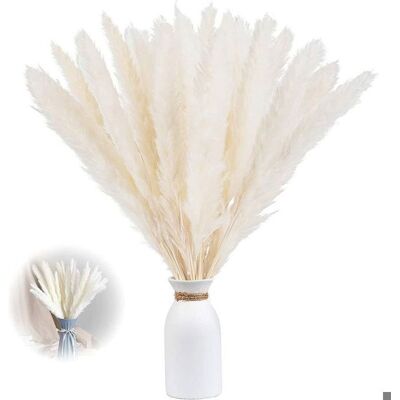 Herbes de pampa séchées - Lot de 30 - Hauteur 60 cm - Décoration intérieure - Texture relaxante - Sans odeur - Durable - Publicité Herbes de pampa séchées - Lot de 30 - Hauteur 60 cm - Décoration intérieure - Texture relaxante - Sans odeur - Durable - Publicité