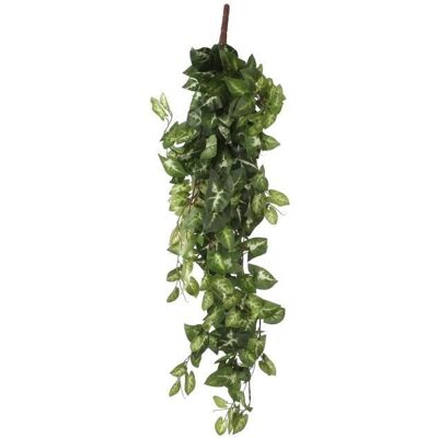 Plante Artificielle Suspendue Fittonia en pot - L15 x l30 x H80 cm - Vert - Mica Decorations Vert - Publicité Plante Artificielle Suspendue Fittonia en pot - L15 x l30 x H80 cm - Vert - Mica Decorations Vert - Publicité