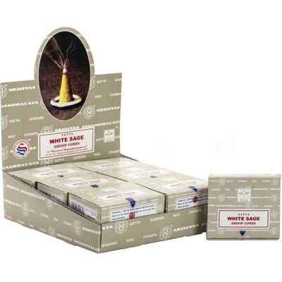 ANCIENT WISDOM Cônes Dhoop de sauge blanche- Vendu par 1 Beige - Publicité ANCIENT WISDOM Cônes Dhoop de sauge blanche- Vendu par 1 Beige - Publicité