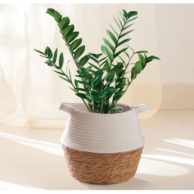 Blanc Rond Panier Rangement Osier en Jonc de Mer et Coton Durable Diamètre de 27cm Cache Pot pour Plantes Intérieur et Décoration - Publicité Blanc Rond Panier Rangement Osier en Jonc de Mer et Coton Durable Diamètre de 27cm Cache Pot pour Plantes Intérieur et Décoration - Publicité