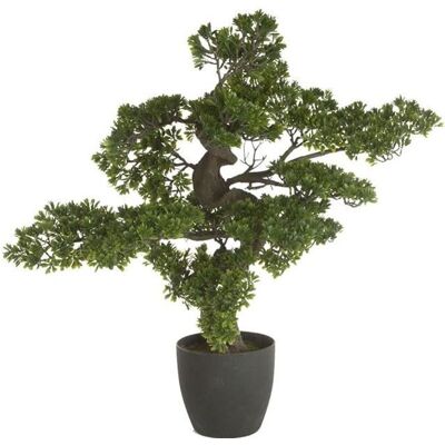 PEGANE Bonsai artificiel géant avec pot en PLASTIQUE/CIMENT - Dim : H 80 x L 80 x P 60 cm Vert - Publicité PEGANE Bonsai artificiel géant avec pot en PLASTIQUE/CIMENT - Dim : H 80 x L 80 x P 60 cm Vert - Publicité