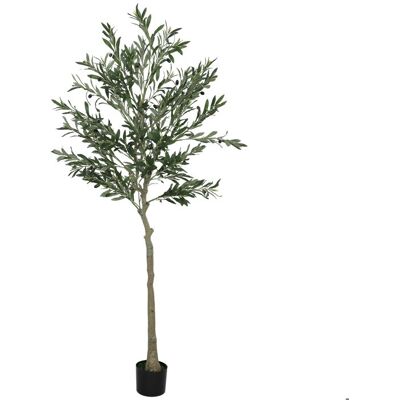 Olivier artificiel 180 cm - HOMCOM - plante artificielle intérieur - décoration pour maison bureau salon chambre Vert - Publicité Olivier artificiel 180 cm - HOMCOM - plante artificielle intérieur - décoration pour maison bureau salon chambre Vert - Publicité