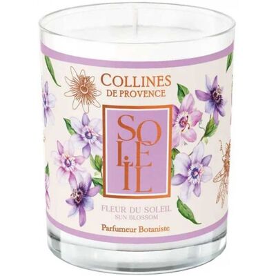 -Collines de Provence Les Estivales Bougie Parfumée 180 Grammes (Senteur : Fleur du Soleil) - Publicité -Collines de Provence Les Estivales Bougie Parfumée 180 Grammes (Senteur : Fleur du Soleil) - Publicité