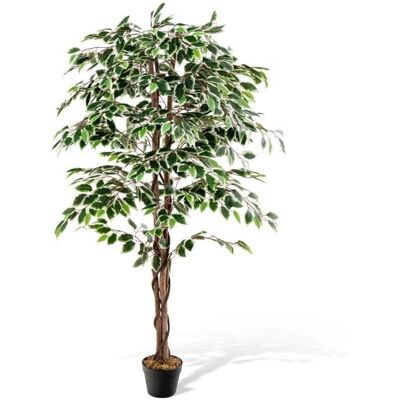 Plante Artificielle Ficus COSTWAY - 160CM - Pot Rempli de Ciment - 1008 Feuilles Tronc Réaliste Mousse Séchée Vert - Publicité Plante Artificielle Ficus COSTWAY - 160CM - Pot Rempli de Ciment - 1008 Feuilles Tronc Réaliste Mousse Séchée Vert - Publicité